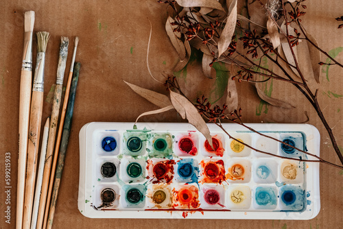 Paint palette with dried gum leaves and paint brushes from above. photo