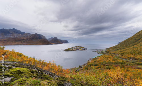 The Husøy village with autumn colored trees in the foreground, covers the entire island of Husøy located in the Øyfjorden fjord in Troms og Finnmark county, Norway.