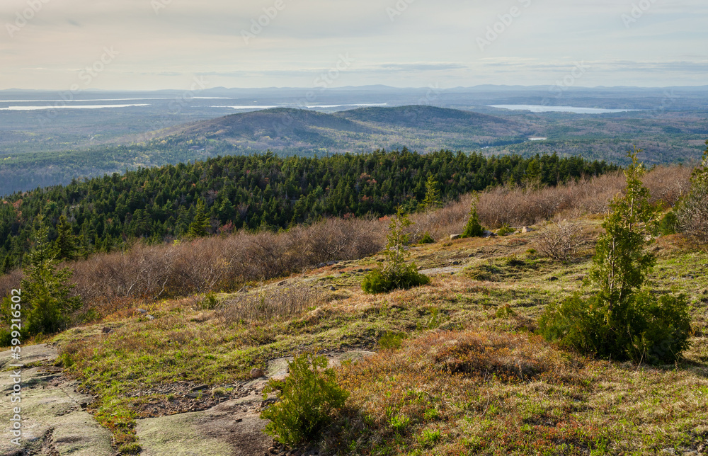 Fototapeta premium Cadillac Mountain at Acadia National Park