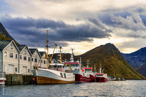 The small harbor of Hus  y lies at the end of   yfjorden and is surrounded by high mountains covered in autumn colors  Troms og Finnmark  Norway