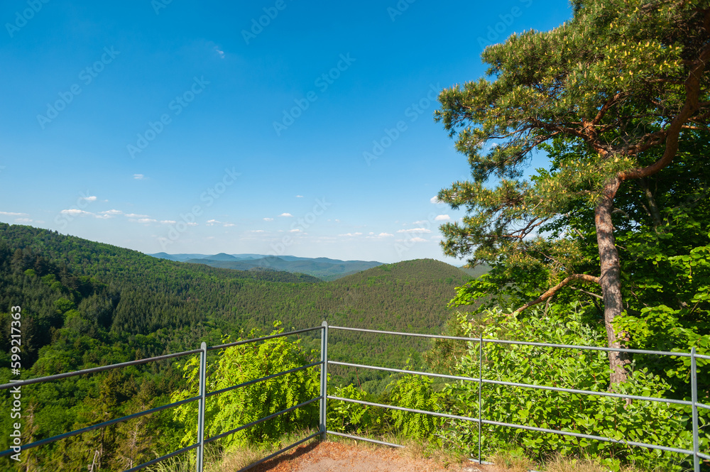 Blick von der Burgruine Guttenberg bei Oberotterbach auf die Landschaft des Pfälzerwaldes. Region Pfalz im Bundesland Rheinland-Pfalz in Deutschland