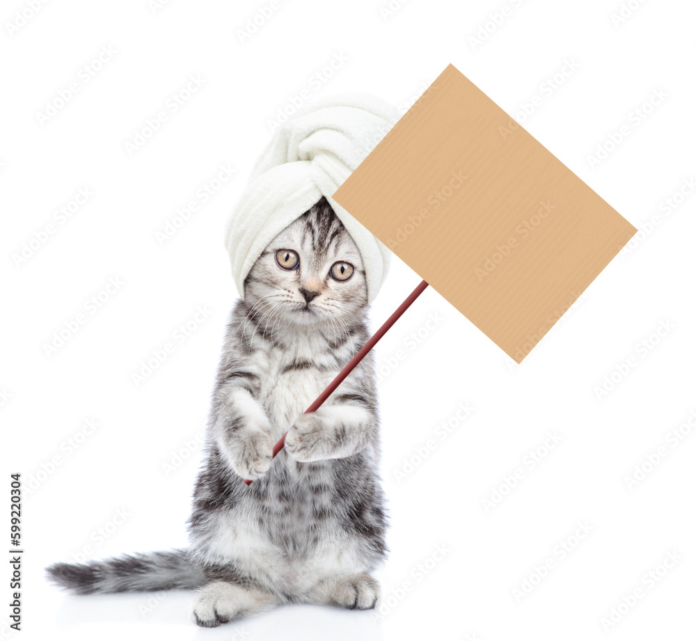 Funny kitten with towel on it head stands on hind legs and shows empty placard. isolated on white background Funny kitten with towel on it head stands on hind legs and shows empty placard. isolated on white background