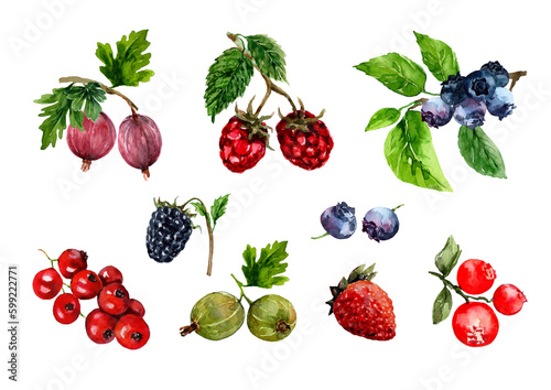 Set of isolated elements of summer berries gooseberries, currants, strawberries, raspberries, blackberries. Ripe berry, vitamin clip art. Hand-drawn watercolor illustration on white background.