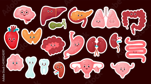 Big collection stickers cute human cartoon organs. Isolated vector flat funny cartoon characters illustrations design. Anatomy