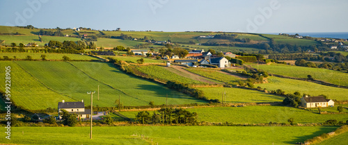 Green farm fields in the south of Ireland on a summer evening. Agricultural Irish landscape. Pastures for livestock, house on green field.