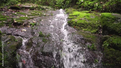 The clear stream in the valley flows down from mossy stones photo