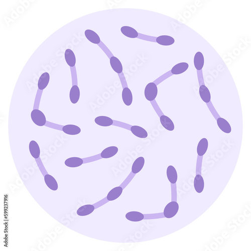 Diphtheria virus infection and vaccine of group A with the tetanus croup strep throat bacterial