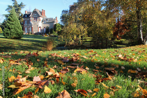 fall in a pblic park in rezé in france  photo