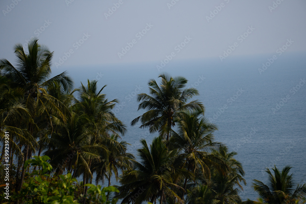 Obraz premium Palm trees in front of the blue sea at Goa in India. Palm trees in front of the blue ocean at tropical island. Tropical island background with copy space. Palm Trees move in front of sea due to wind.
