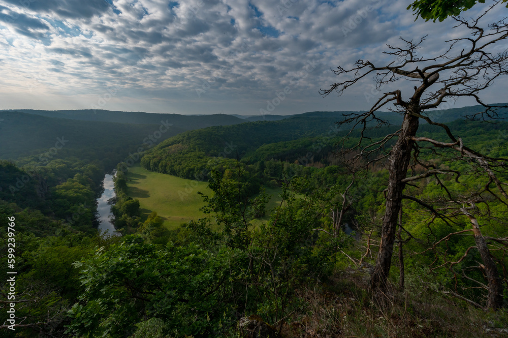 View of the meandering river, forest of fog and sunset in the Podyjí meadow National Park in Moravia in the Czech Republic View of the meandering river, forest of fog and sunset in the Podyjí meadow National Park in Moravia in the Czech Republic