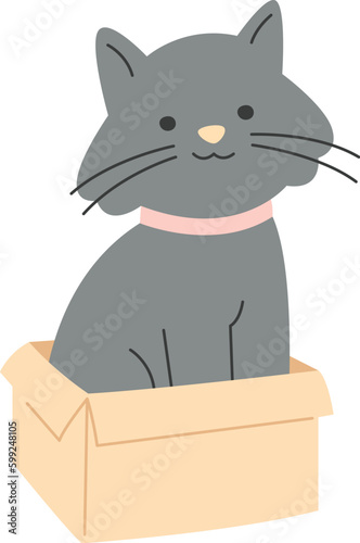 Cat Sitting In Box