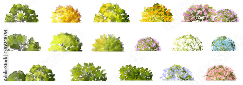 collection of grass, Vector watercolor blooming flower tree side view isolated for landscape and architecture drawing, elements for environment and garden,botanical elements for section in spring