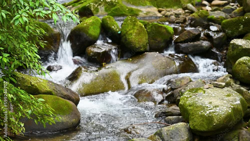 The creek flows through the lush green forest. Great place for a walk in summer. In summer, small waterfalls flow along the stones on the mountain. The creek flows through the lush green forest. Great place for a walk in summer. In summer, small waterfalls flow along the stones on the mountain.