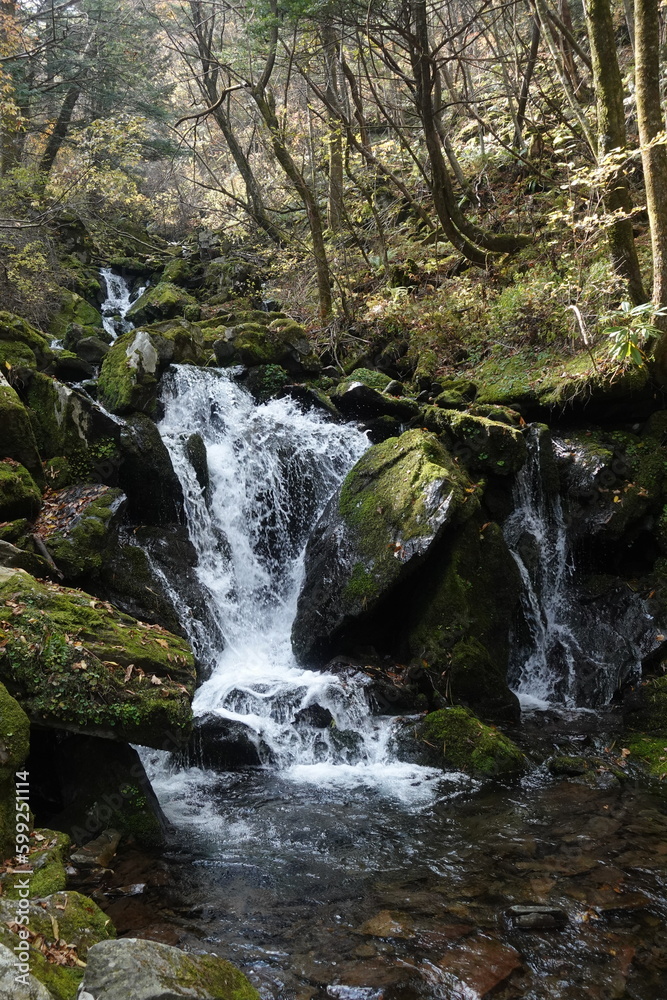 Fototapeta premium 깊은 산속 이끼 낀 바위 사이로 흐르는 물