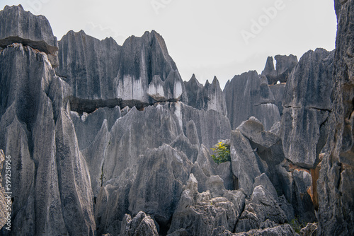 Limestone Stone forest a UNESCO World Heritage Site known as South China Karst, Kunming Yunnan China. Horizontal image with copy space, blue sky