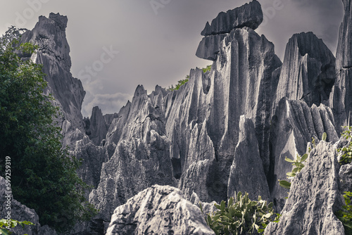 Different rocks in Naigu Shilin limestone pinnacles Stone Forest, Yunnan Province, China. The Stone Forest or Shilin is a UNESCO World Heritage Sites near Kunming. photo