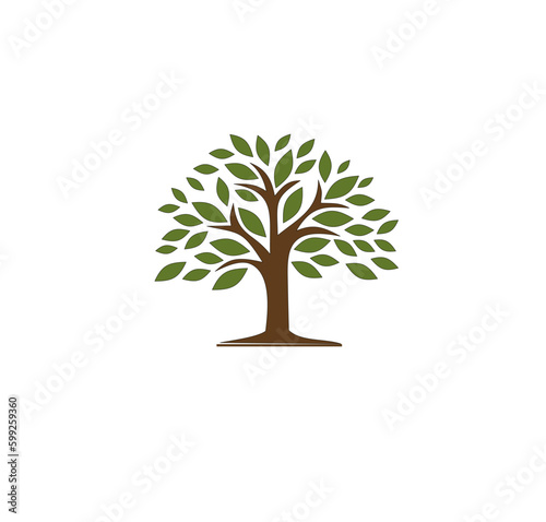 tree with roots