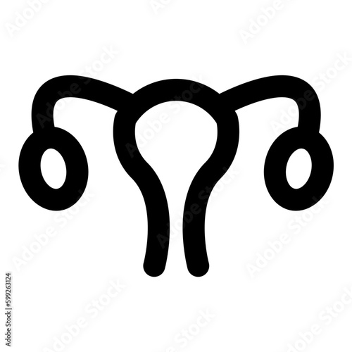 uterus