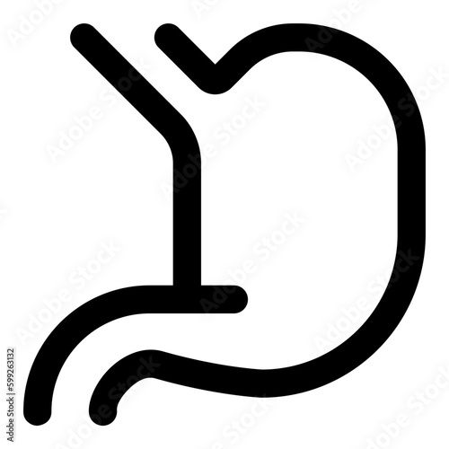 stomach