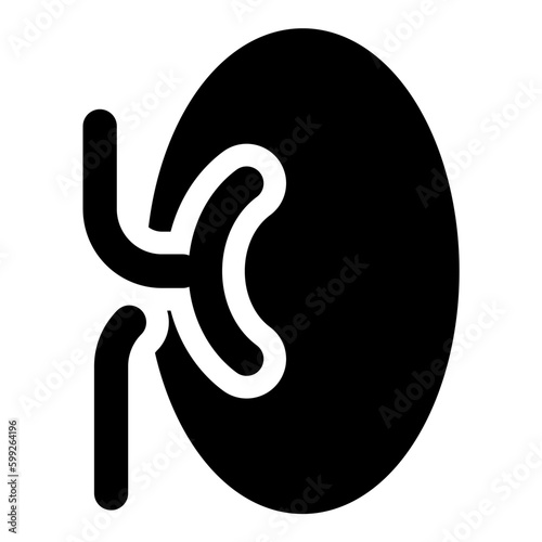 kidney