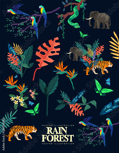 Wild Rain Forest Jungle Elements