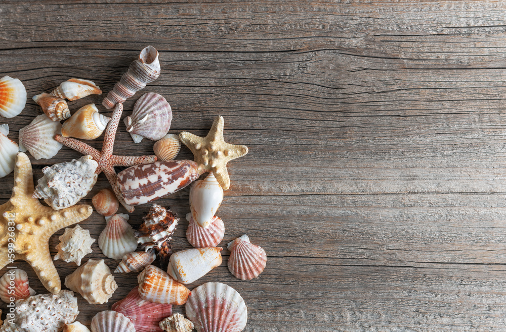 Starfish and shells on wooden boards. There is space for text.