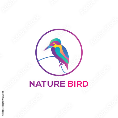 Colorful Bird logo template