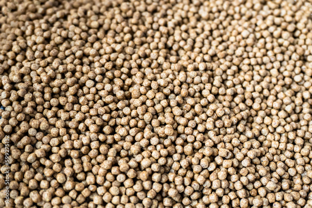close up of granulated fish food texture. Small fish feed isolated on white plate. Feed for carpfish close up of granulated fish food texture. Small fish feed isolated on white plate. Feed for carpfish