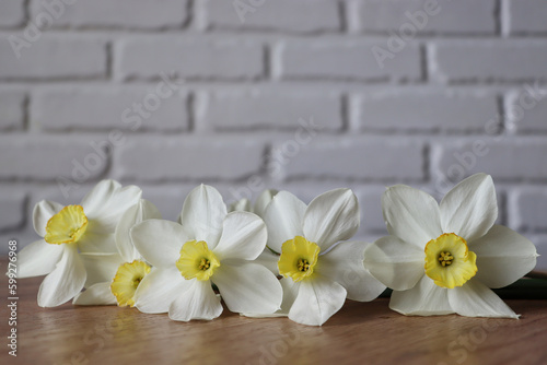 White daffodils lie on the table
