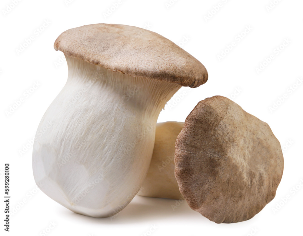 Two eringi mushrooms close-up on a white background. Two eringi mushrooms close-up on a white background.