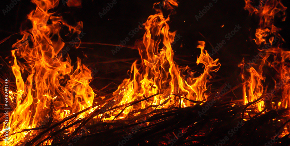 Beautiful stylish fire flames during the night. Fire flame with burning red hot sparks isolated on black background
