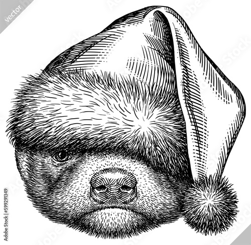 Vintage engraving isolated honey badger set dressed christmas illustration ink santa costume sketch. Ratel background tropical animal silhouette new year hat vector art. Black and white image.