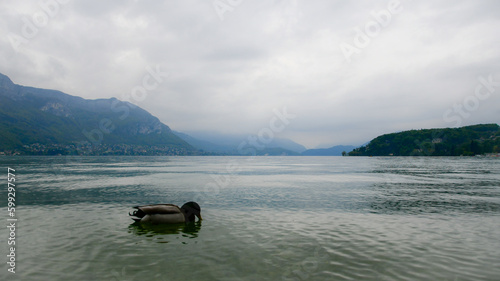 lake in the mountains