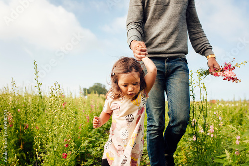 Father with daughter (2-3) walking in meadow