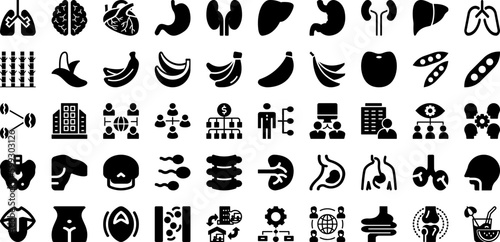 Organ Icon Set Isolated Silhouette Solid Icons With Vector, Body, Icon, Human, Organ, Symbol, Anatomy Infographic Simple Vector Illustration