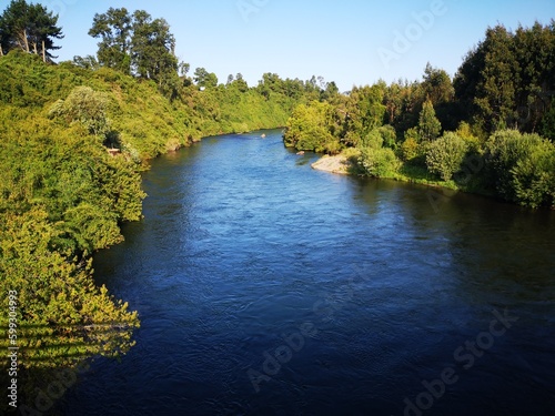 river in the forest