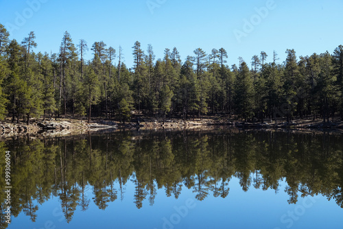 Fototapeta Naklejka Na Ścianę i Meble -  Pine Forest Lake 3