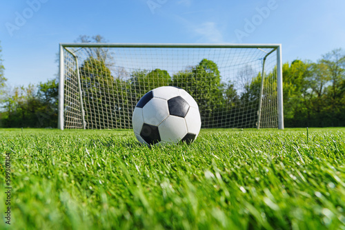 textured soccer game field with ball in front of the soccer goal. - center, midfield © Igor