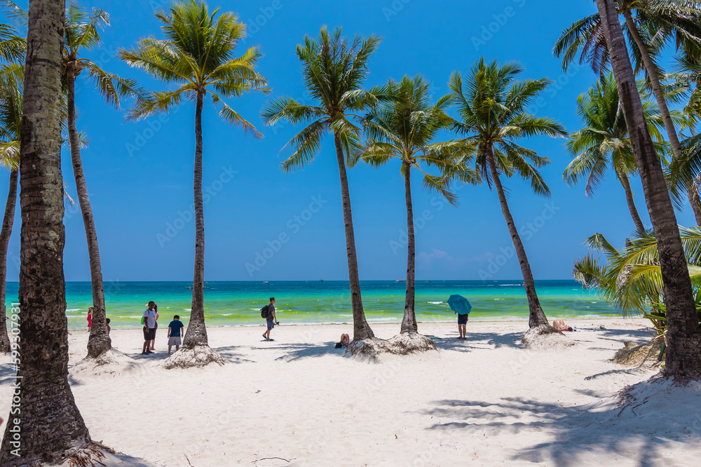 Obraz premium Boracay, Malay, Aklan, Philippines - April 2023: Coconut trees near Station 1 of the popular White Beach in Boracay Island.