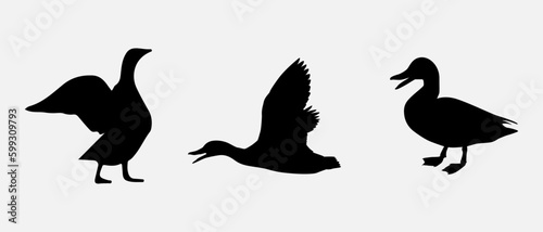 isolated black silhouette of a duck   vector collection