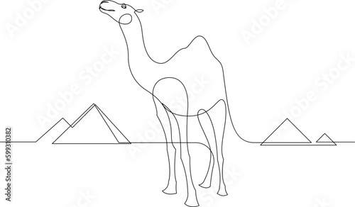 Continuous one line drawing camel walking in the desert with pyramids in the background. Single line draw design vector graphic illustration.