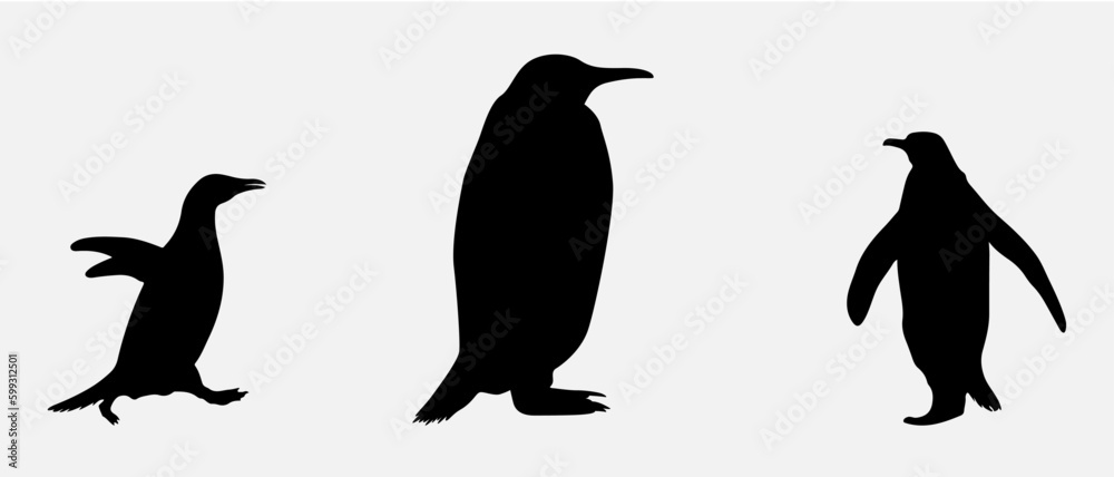 Obraz premium isolated black silhouette of a penguin , vector collection
