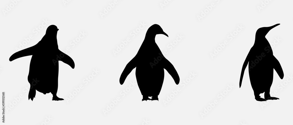 isolated black silhouette of a penguin , vector collection