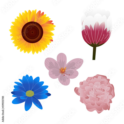 Flower Bundle Illustrations PNG (ID: 599313788)
