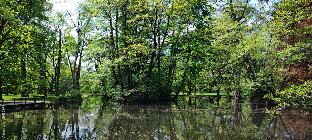 Beautiful image of a pond in spring Beautiful image of a pond in spring