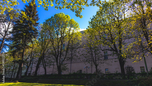 
Parco dei Giardini Reali on a warm spring afternoon in the center of Turin