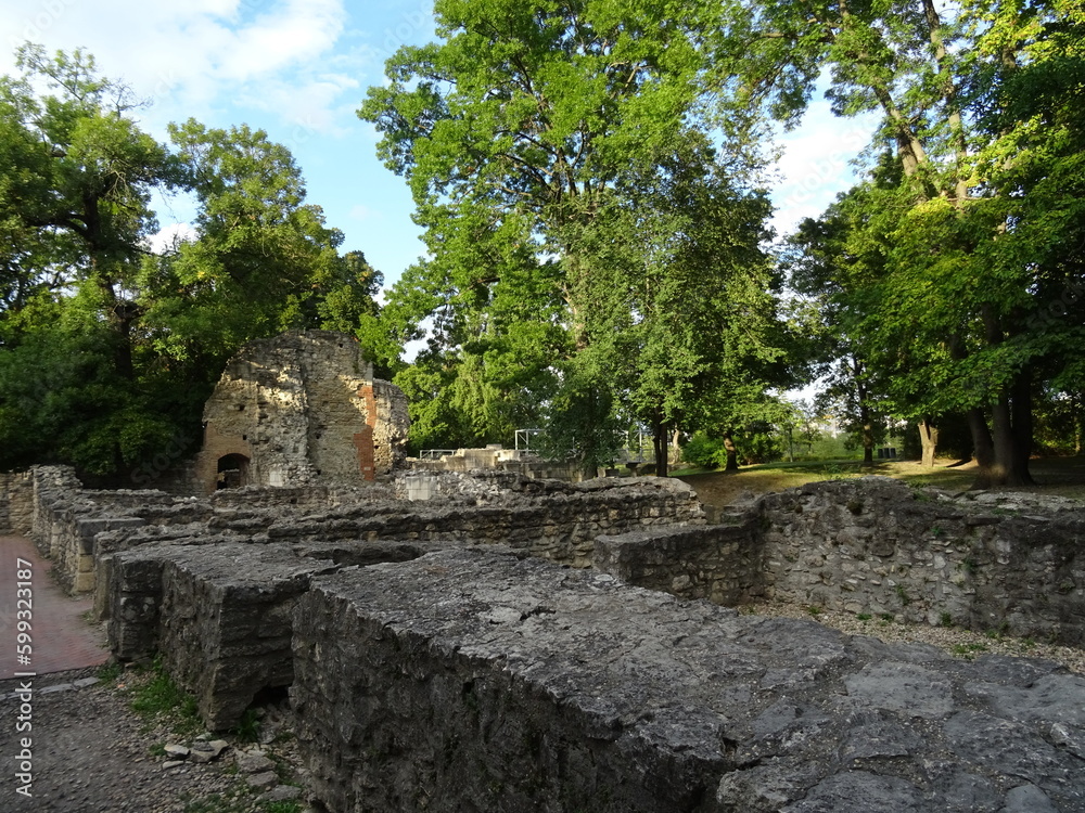 ancient ruins surrounded by a grove