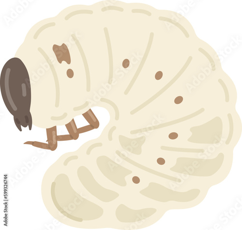 カブトムシの幼虫のイラスト