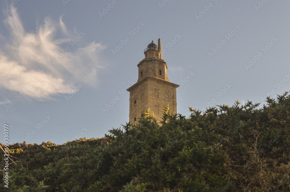 tower of hercules among the trees