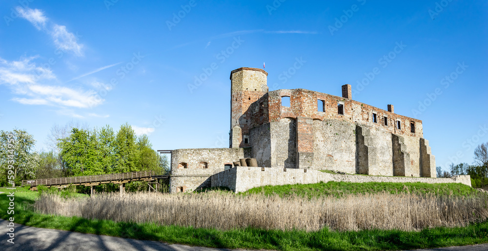 ruins of the bishops castle in siewierz